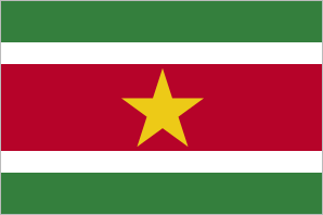 Suriname flag